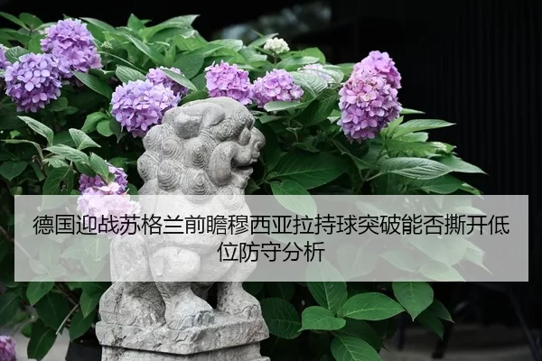 德国迎战苏格兰前瞻穆西亚拉持球突破能否撕开低位防守分析 | huatihui