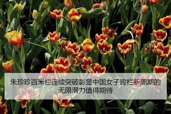 朱珍珍百米栏连续突破彰显中国女子跨栏新周期的无限潜力值得期待