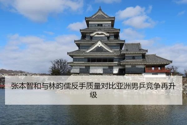 张本智和与林昀儒反手质量对比亚洲男乒竞争再升级（huatihui）