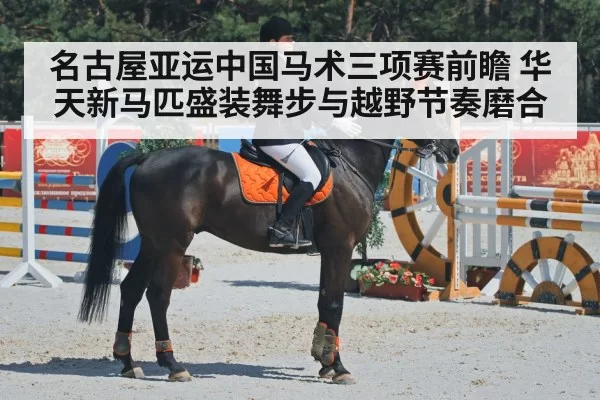 名古屋亚运中国马术三项赛前瞻 华天新马匹盛装舞步与越野节奏磨合