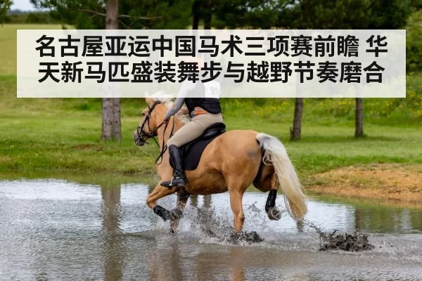 cross country horse riding
